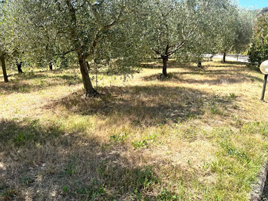 Immagine 31 di Appartamento in vendita  in Strada Pieve Pagliaccia a Perugia