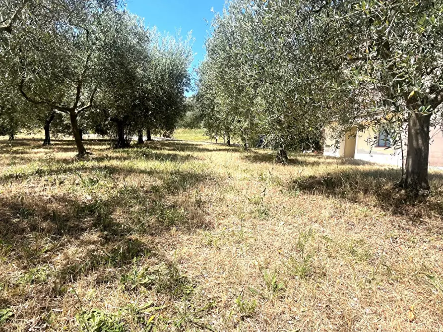 Immagine 32 di Appartamento in vendita  in Strada Pieve Pagliaccia a Perugia