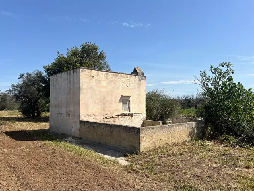 Immagine 14 di Terreno in vendita  in Strada Vicinale Bon Amì a Matino