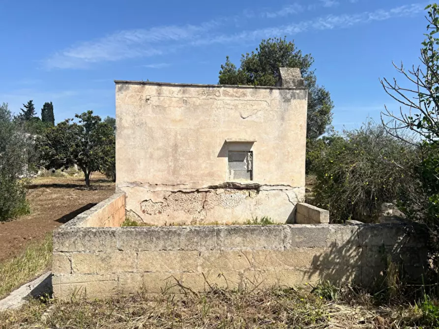 Immagine 16 di Terreno in vendita  in Strada Vicinale Bon Amì a Matino