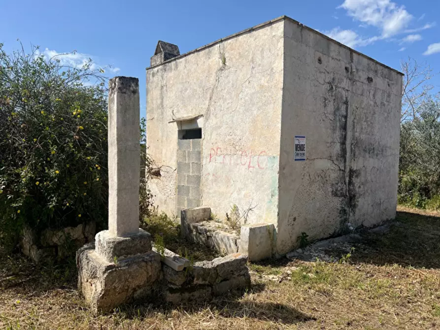 Immagine 17 di Terreno in vendita  in Strada Vicinale Bon Amì a Matino