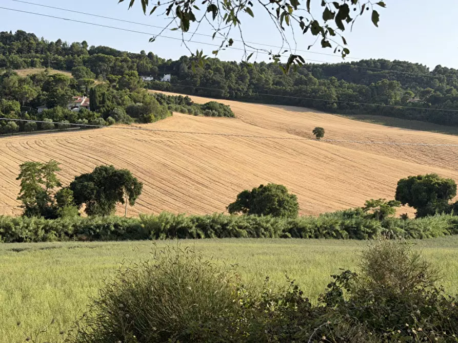 Immagine 1 di Terreno in vendita  in portonovo a Ancona