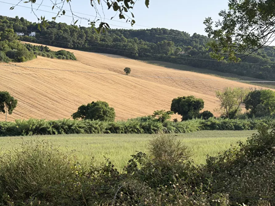 Immagine 2 di Terreno in vendita  in portonovo a Ancona