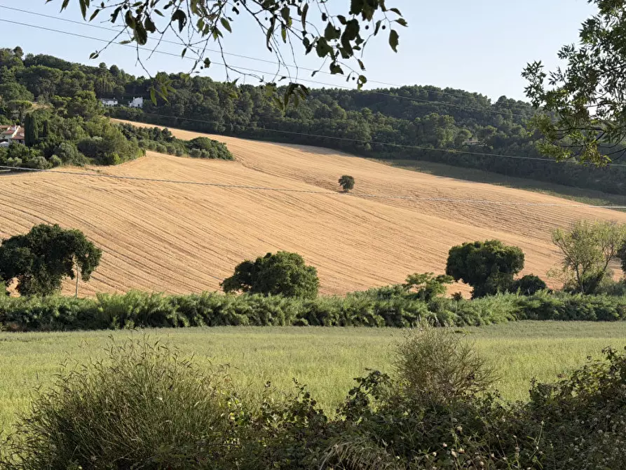 Immagine 3 di Terreno in vendita  in portonovo a Ancona