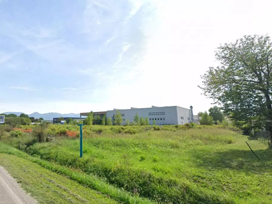 Immagine 3 di Terreno in vendita  in Via Flaminia snc a Bevagna