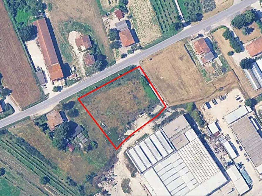 Immagine 4 di Terreno in vendita  in Via Flaminia snc a Bevagna