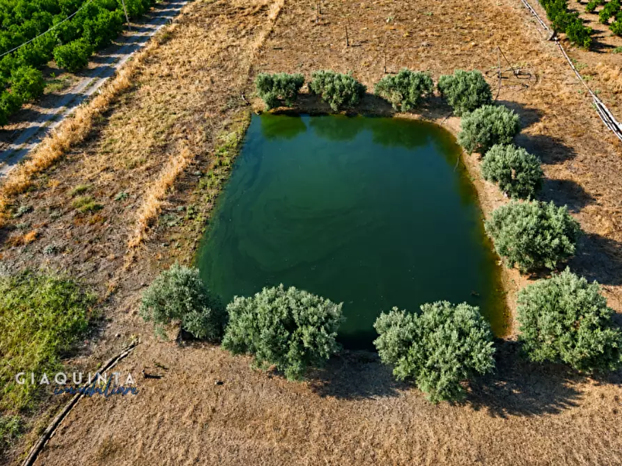 Immagine 4 di Terreno in vendita  in C.da Periere Sottane a Ramacca