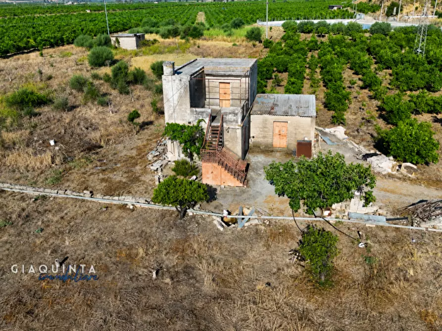 Immagine 9 di Terreno in vendita  in C.da Periere Sottane a Ramacca