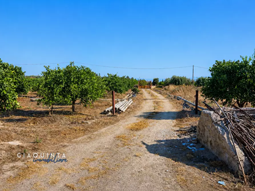 Immagine 12 di Terreno in vendita  in C.da Periere Sottane a Ramacca