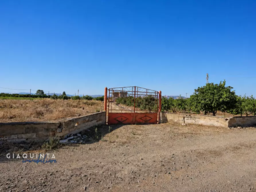 Immagine 17 di Terreno in vendita  in C.da Periere Sottane a Ramacca