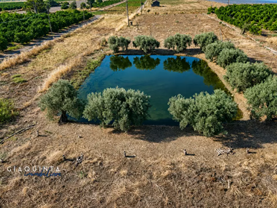 Immagine 23 di Terreno in vendita  in C.da Periere Sottane a Ramacca