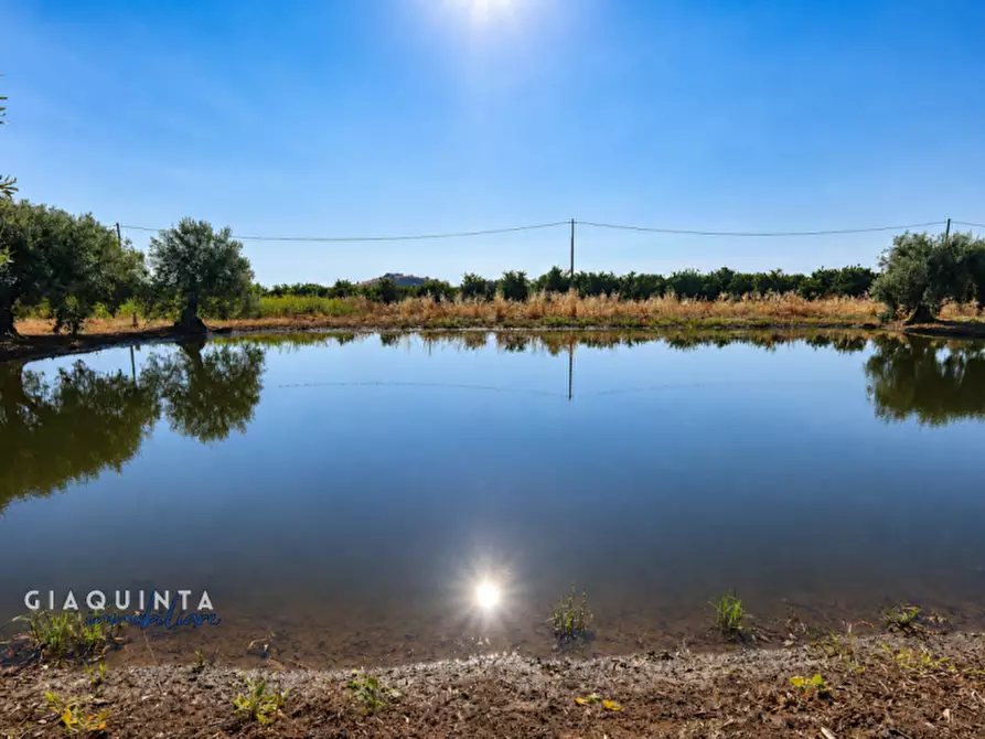 Immagine 29 di Terreno in vendita  in C.da Periere Sottane a Ramacca
