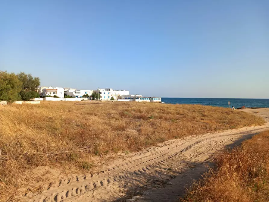 Immagine 44 di Attività commerciale in vendita  in Villanova a Ostuni