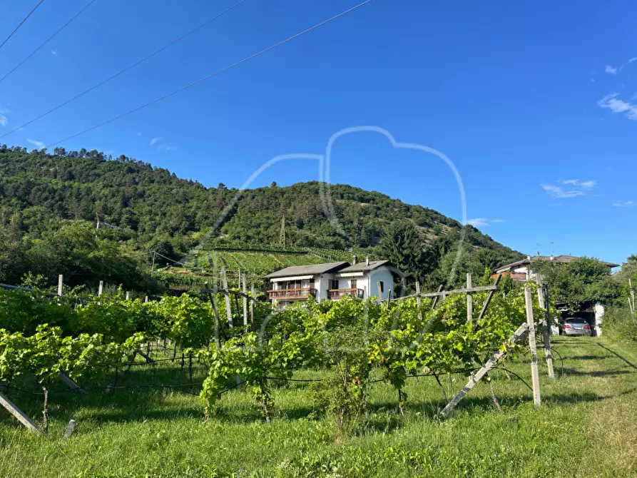 Immagine 4 di Casa indipendente in vendita  in Villamontagna a Trento