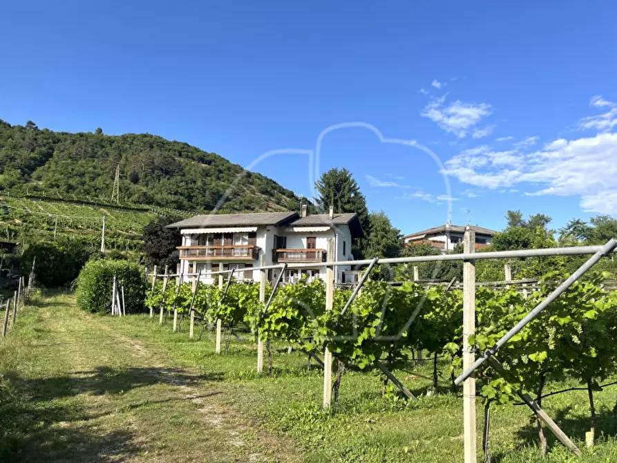 Immagine 5 di Casa indipendente in vendita  in Villamontagna a Trento