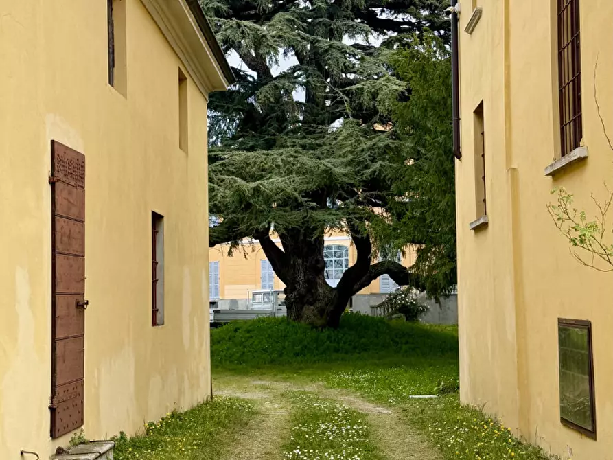 Immagine 46 di Villa in vendita  a Santa Giuletta