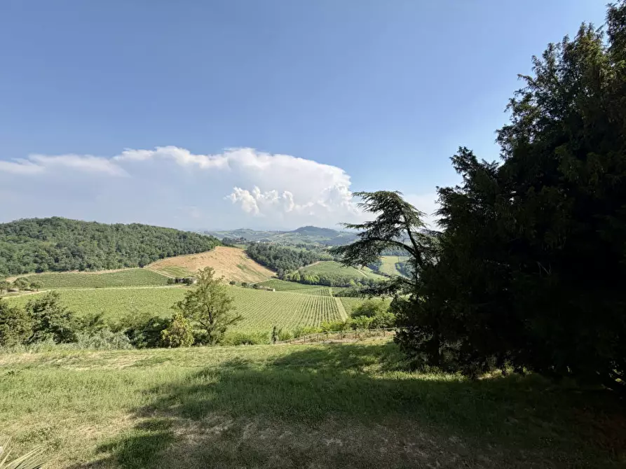 Immagine 49 di Villa in vendita  a Santa Giuletta