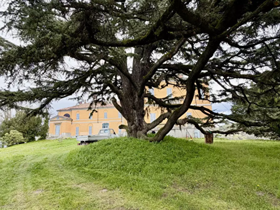 Immagine 50 di Villa in vendita  a Santa Giuletta