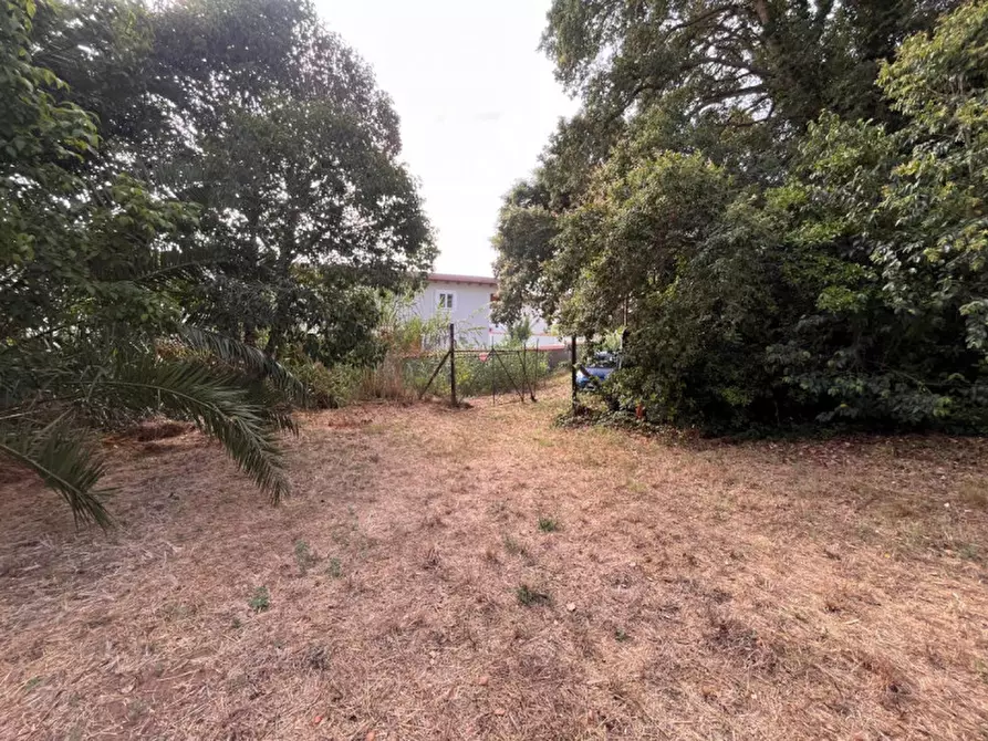Immagine 1 di Terreno in vendita  in VIA DELLA CANNUCCIA 111 a Anzio