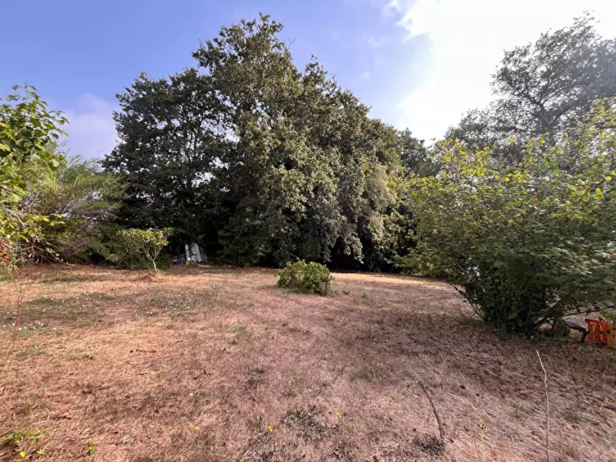 Immagine 2 di Terreno in vendita  in VIA DELLA CANNUCCIA 111 a Anzio