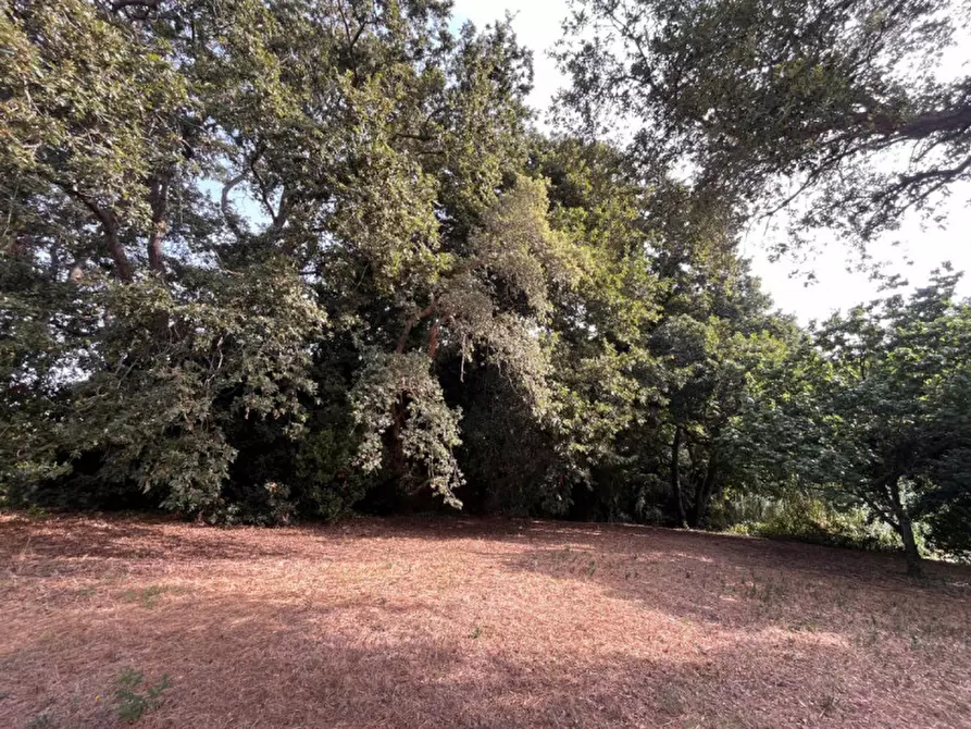 Immagine 3 di Terreno in vendita  in VIA DELLA CANNUCCIA 111 a Anzio