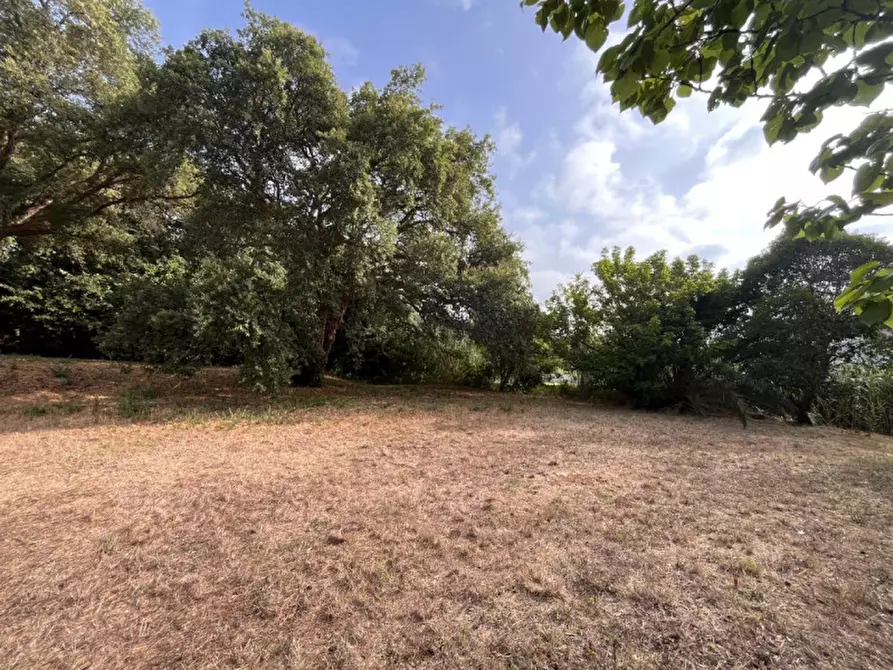 Immagine 6 di Terreno in vendita  in VIA DELLA CANNUCCIA 111 a Anzio