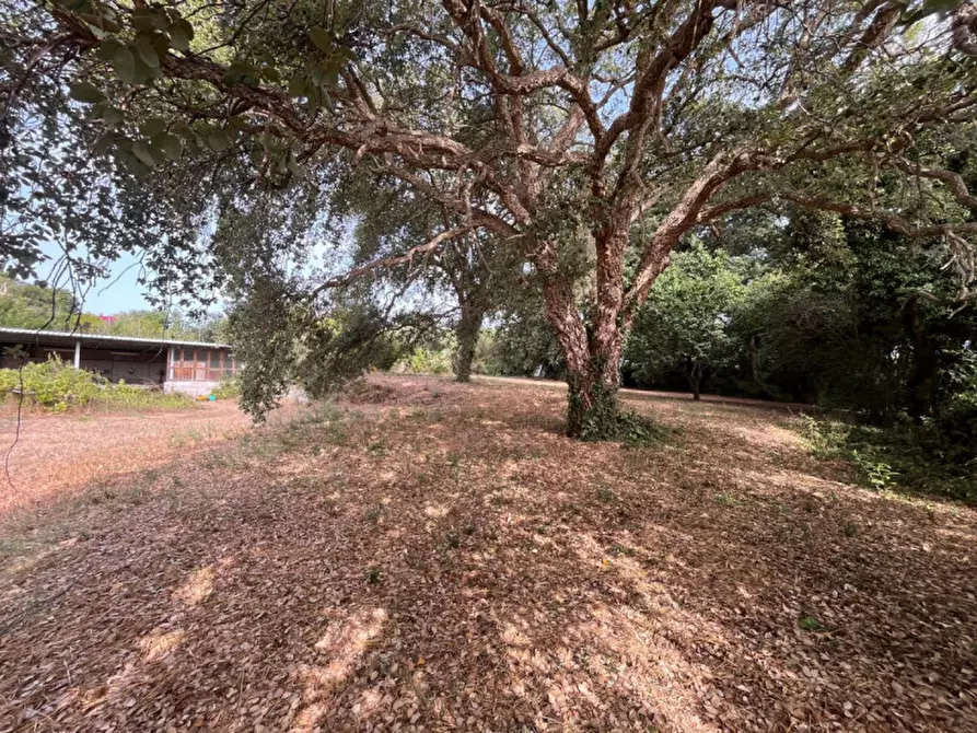 Immagine 8 di Terreno in vendita  in VIA DELLA CANNUCCIA 111 a Anzio