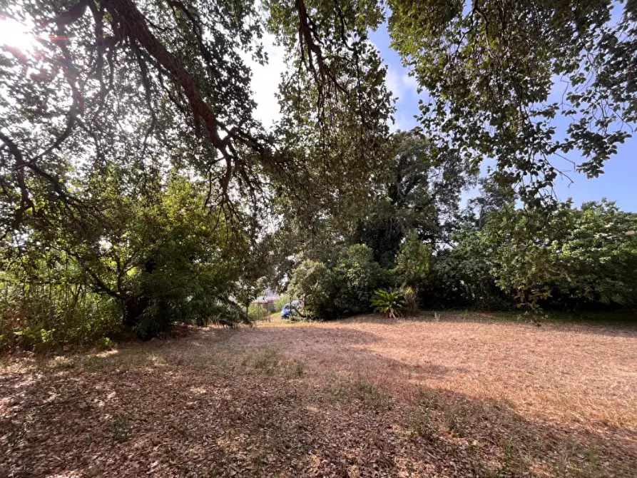 Immagine 9 di Terreno in vendita  in VIA DELLA CANNUCCIA 111 a Anzio