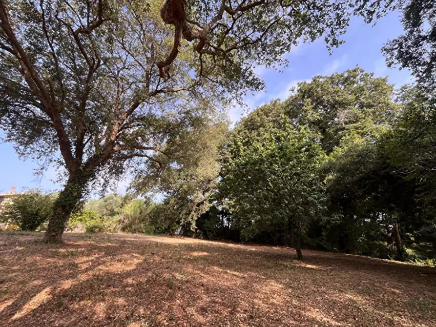 Immagine 10 di Terreno in vendita  in VIA DELLA CANNUCCIA 111 a Anzio