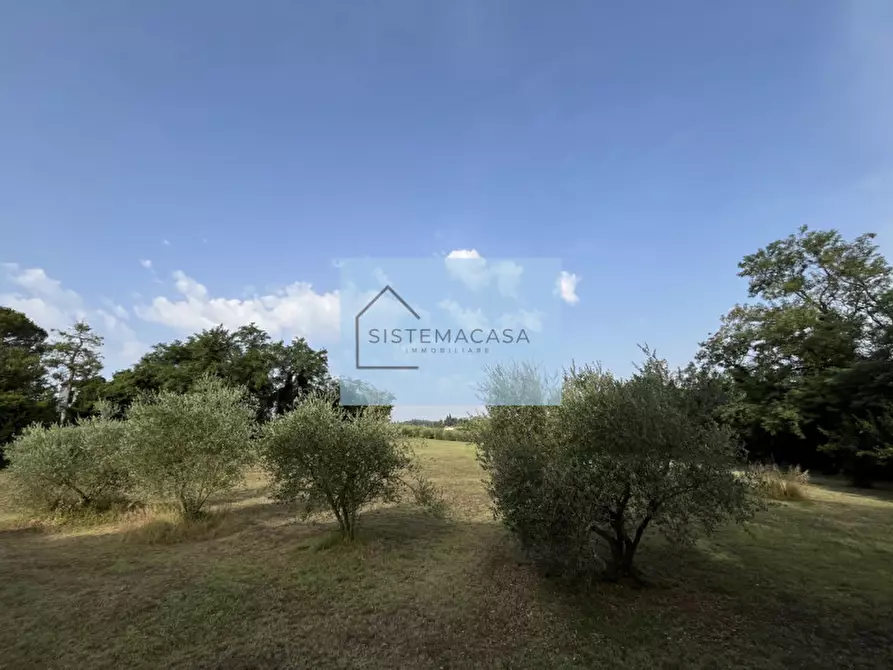 Immagine 10 di Casa indipendente in vendita  in Via San Mamante a Faenza