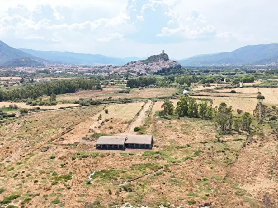 Immagine 13 di Terreno in vendita  a Posada