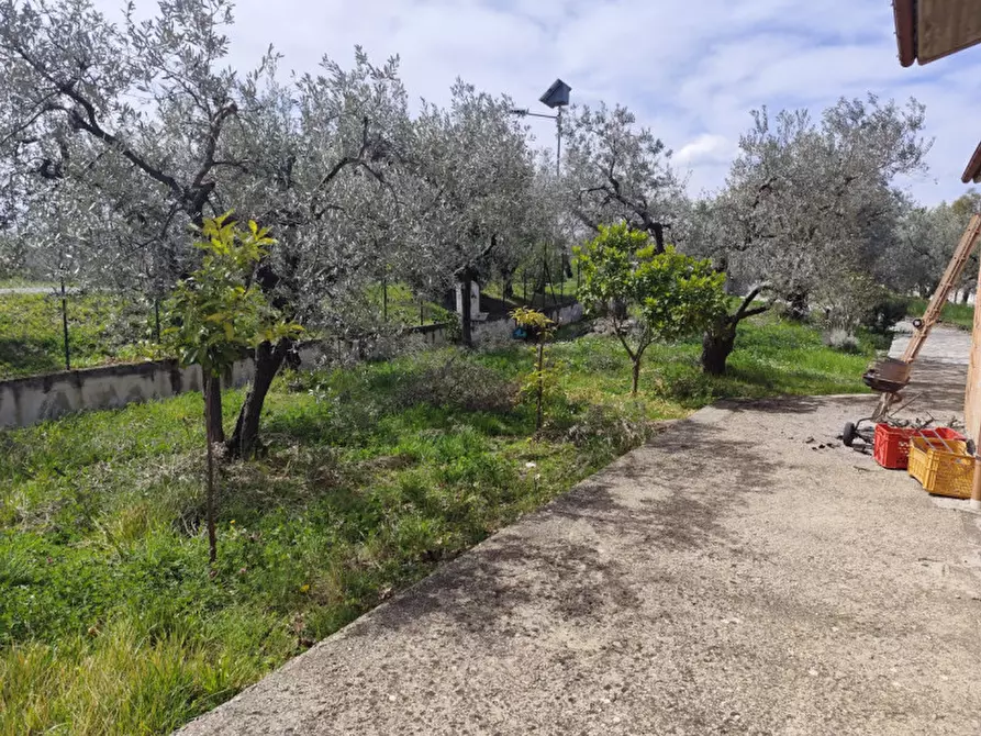 Immagine 5 di Villa in vendita  in Via Grotti a Poggio Nativo