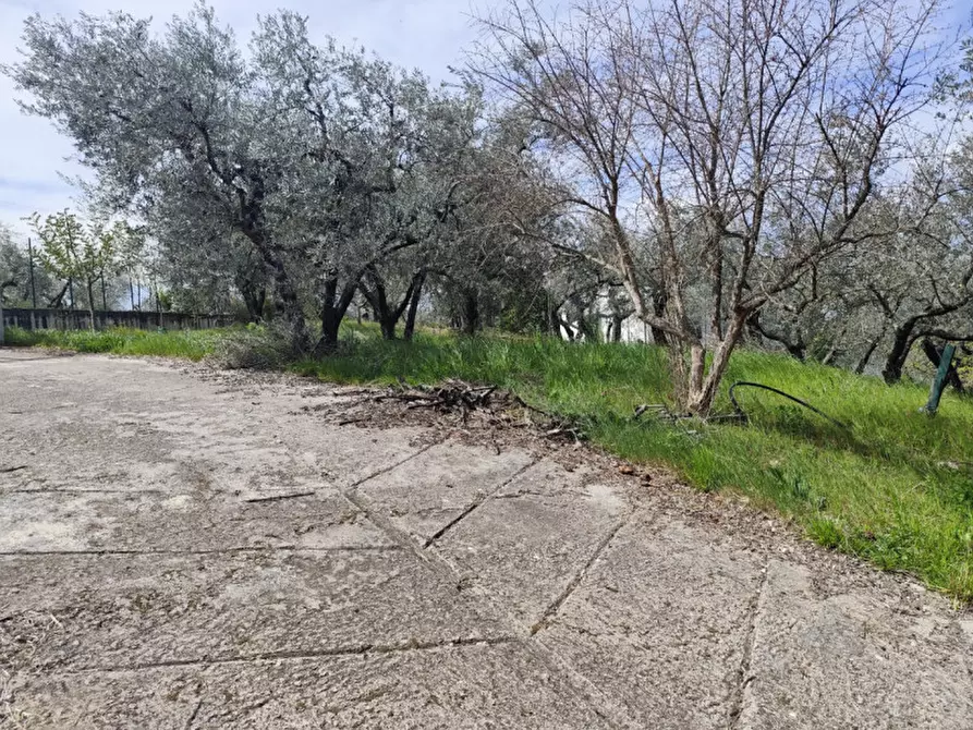 Immagine 14 di Villa in vendita  in Via Grotti a Poggio Nativo