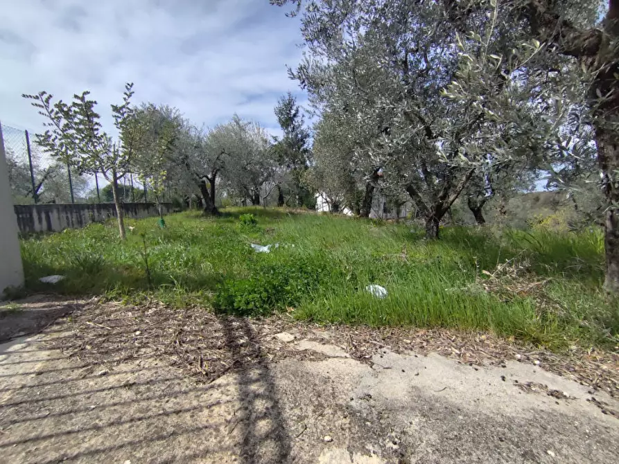 Immagine 16 di Villa in vendita  in Via Grotti a Poggio Nativo