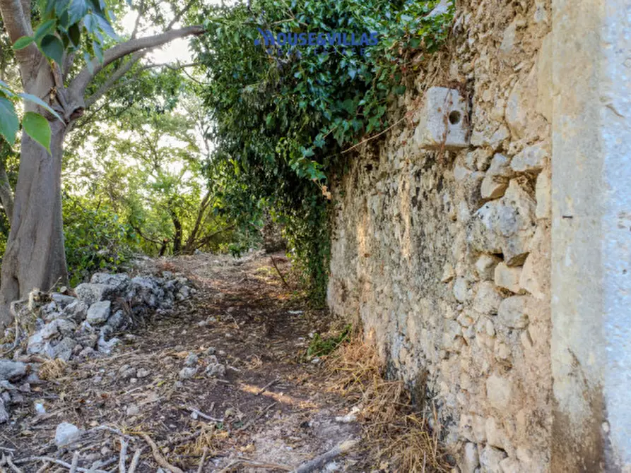 Immagine 12 di Villa in vendita  in piano milo noto a Noto