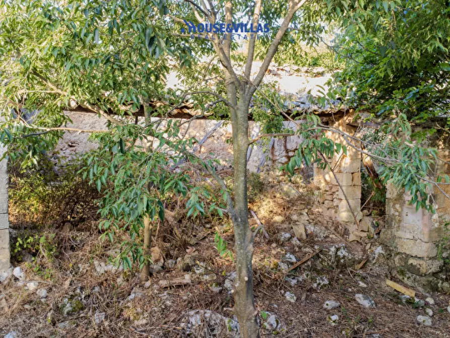 Immagine 17 di Villa in vendita  in piano milo noto a Noto