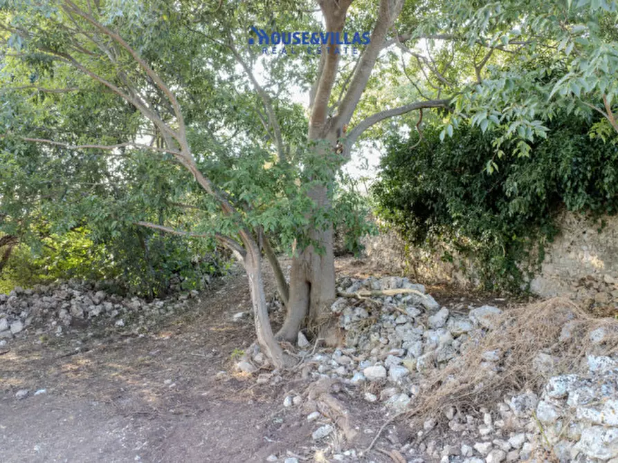 Immagine 34 di Villa in vendita  in piano milo noto a Noto
