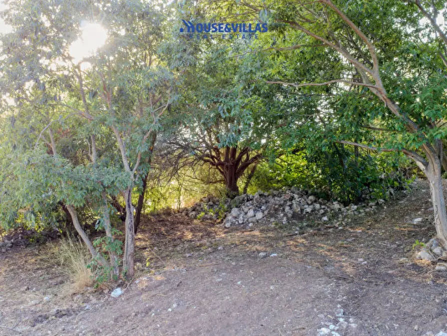 Immagine 35 di Villa in vendita  in piano milo noto a Noto