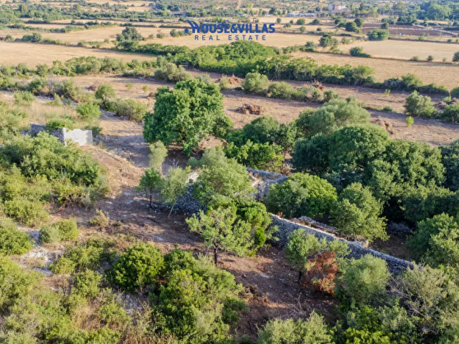 Immagine 43 di Villa in vendita  in piano milo noto a Noto