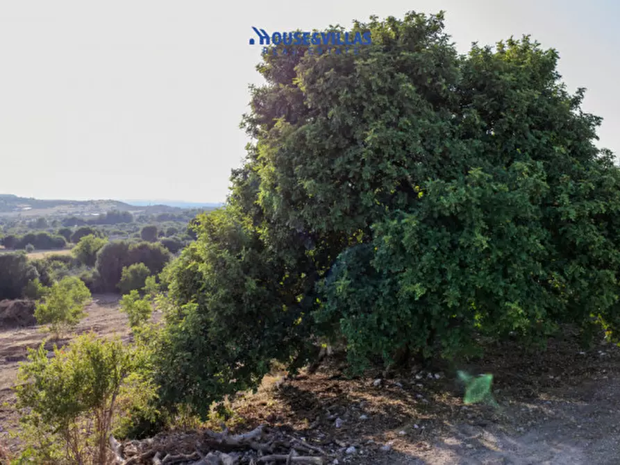 Immagine 44 di Villa in vendita  in piano milo noto a Noto