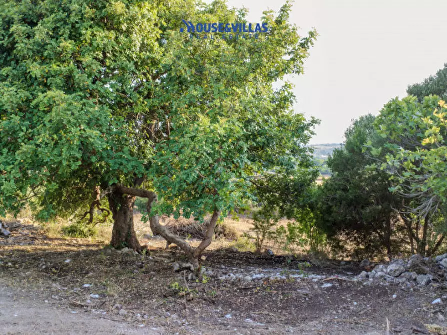 Immagine 45 di Villa in vendita  in piano milo noto a Noto