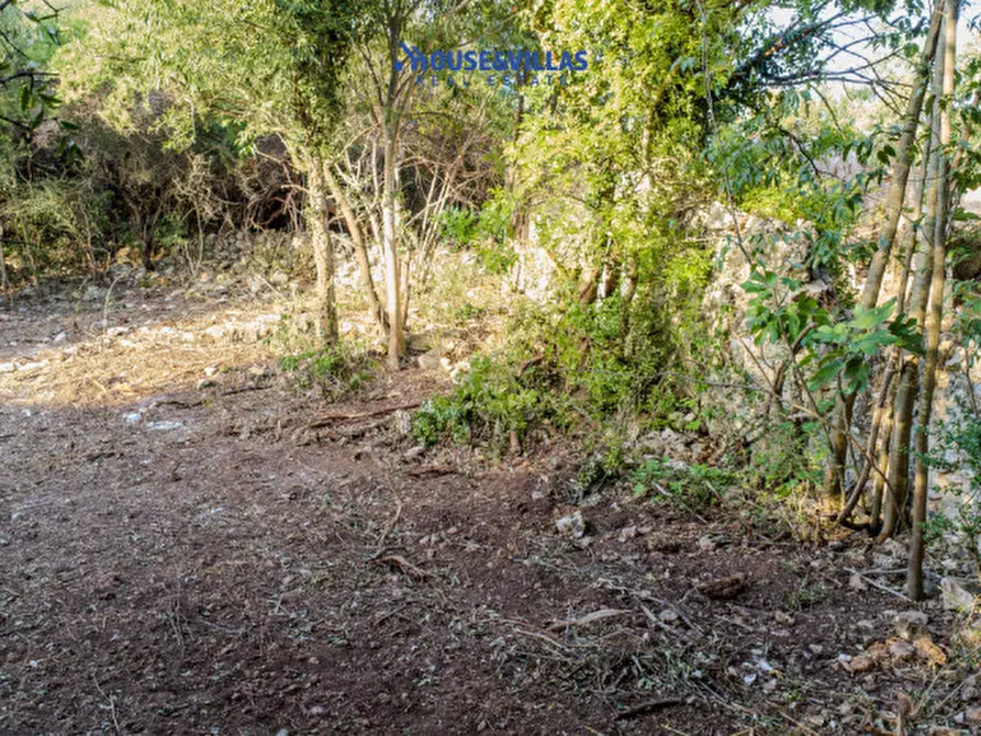 Immagine 46 di Villa in vendita  in piano milo noto a Noto