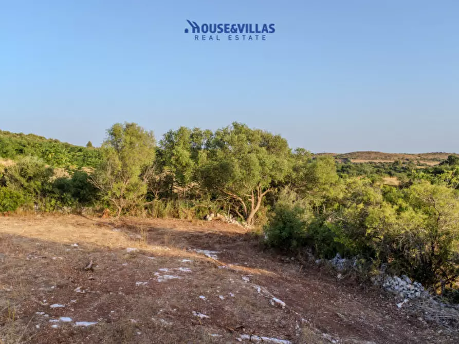 Immagine 50 di Villa in vendita  in piano milo noto a Noto