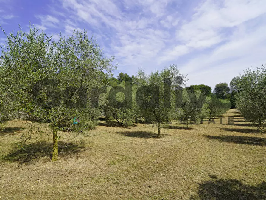 Immagine 5 di Villa in vendita  in strada vicinale delle fontanelle a Calvagese Della Riviera