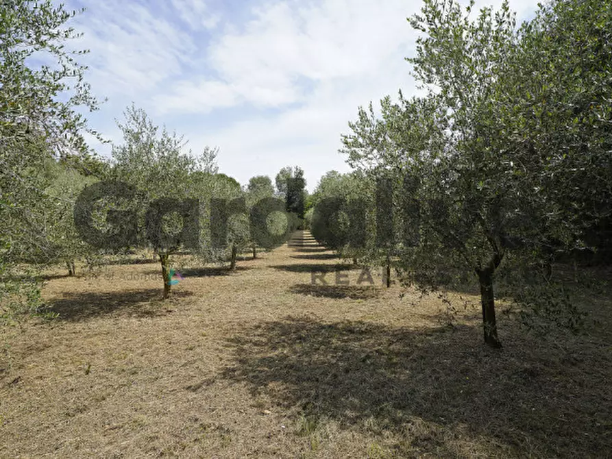 Immagine 8 di Villa in vendita  in strada vicinale delle fontanelle a Calvagese Della Riviera