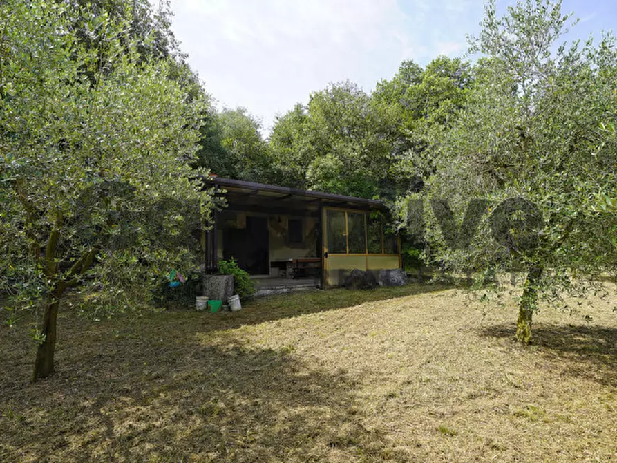 Immagine 13 di Villa in vendita  in strada vicinale delle fontanelle a Calvagese Della Riviera