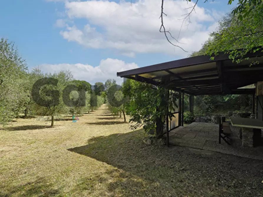 Immagine 17 di Villa in vendita  in strada vicinale delle fontanelle a Calvagese Della Riviera