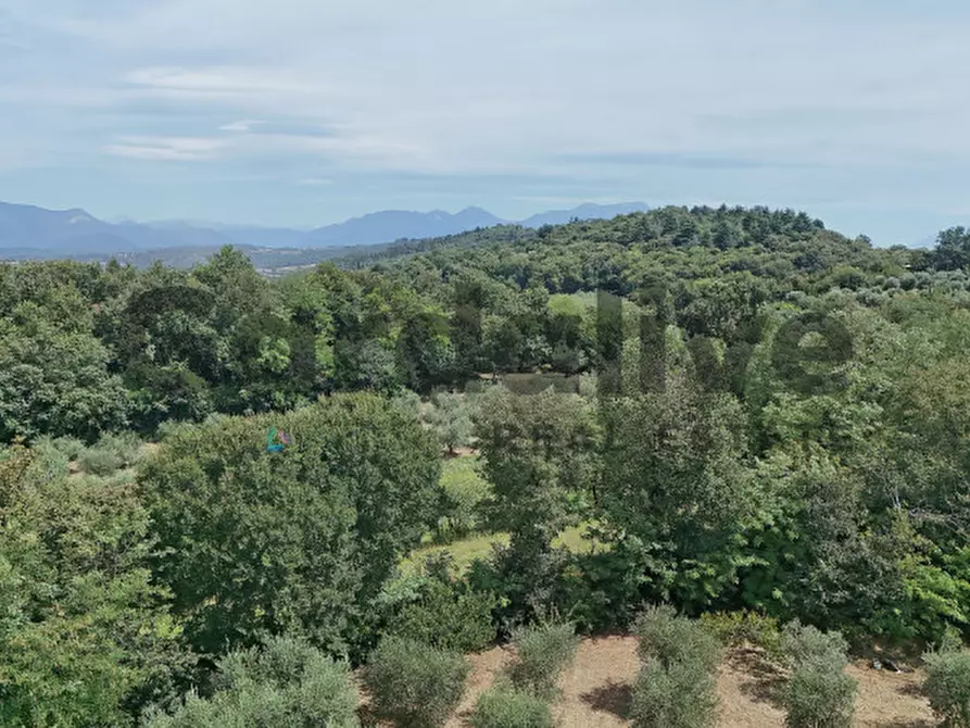 Immagine 22 di Villa in vendita  in strada vicinale delle fontanelle a Calvagese Della Riviera