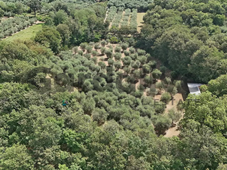Immagine 23 di Villa in vendita  in strada vicinale delle fontanelle a Calvagese Della Riviera