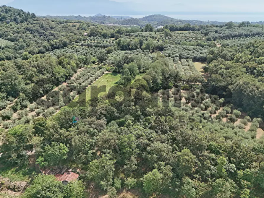Immagine 24 di Villa in vendita  in strada vicinale delle fontanelle a Calvagese Della Riviera